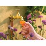 Landscaping & Gardening
