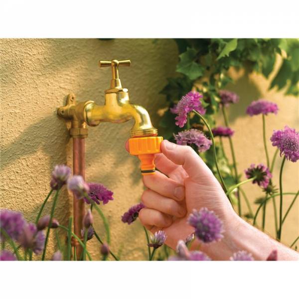Landscaping & Gardening