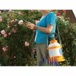 Landscaping & Gardening