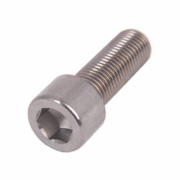 S/S Hex Socket Capscrews