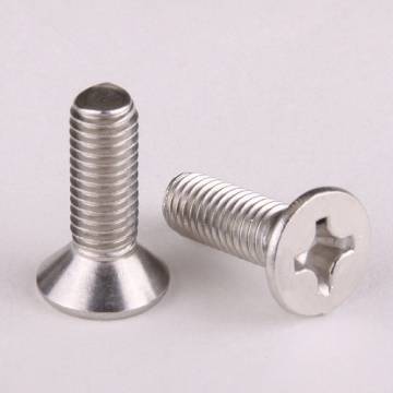 S/S CSK Philip Screws