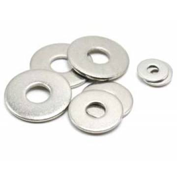 S/S Flat Washer (Small Hole)